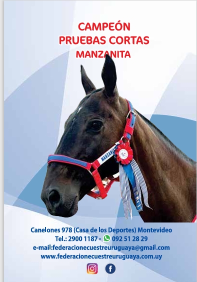 MANZANITA